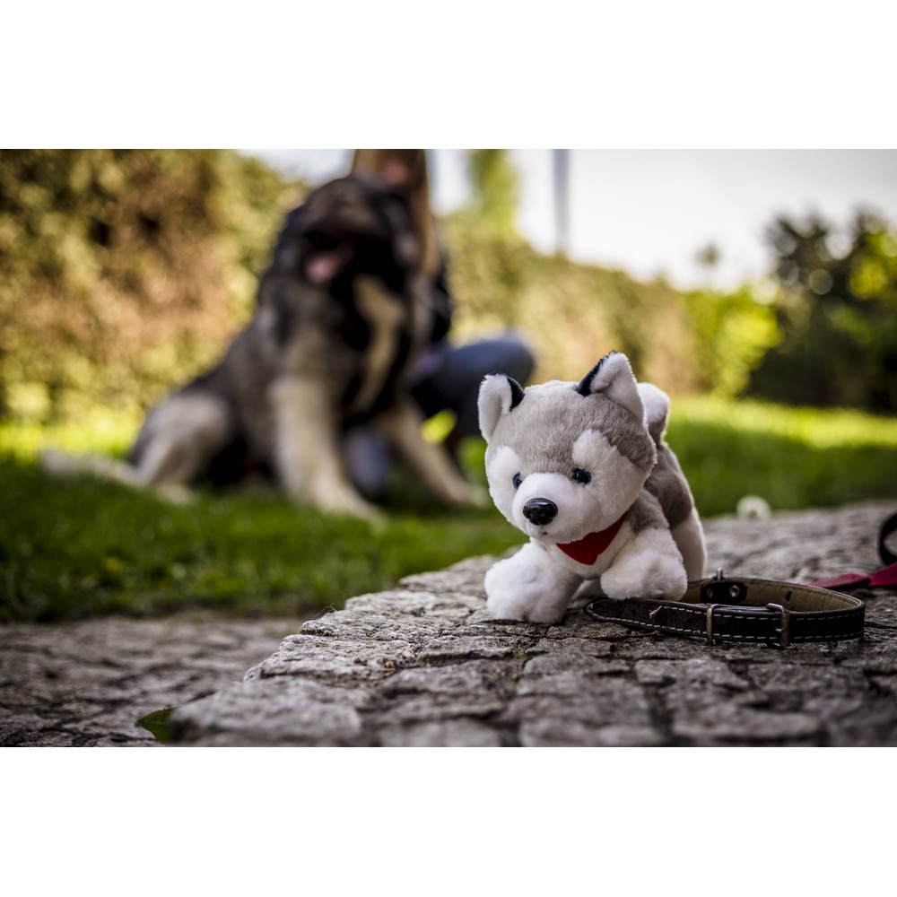 hover_img